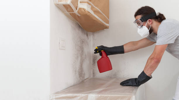 Professional Mold Remediation technician working in Everett, MA